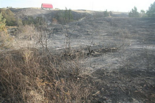 Пожар в Новой Бухтарме