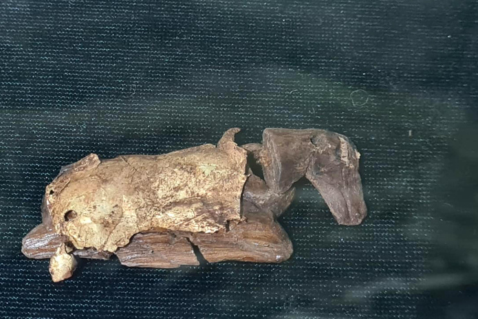 2300-летняя 