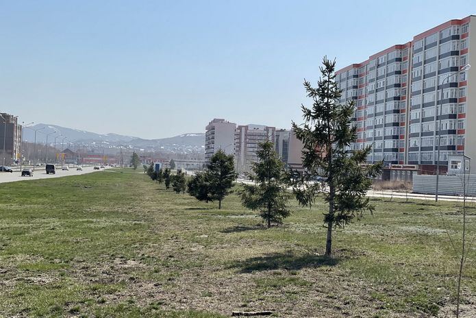 В Усть-Каменогорске начались работы по озеленению улиц