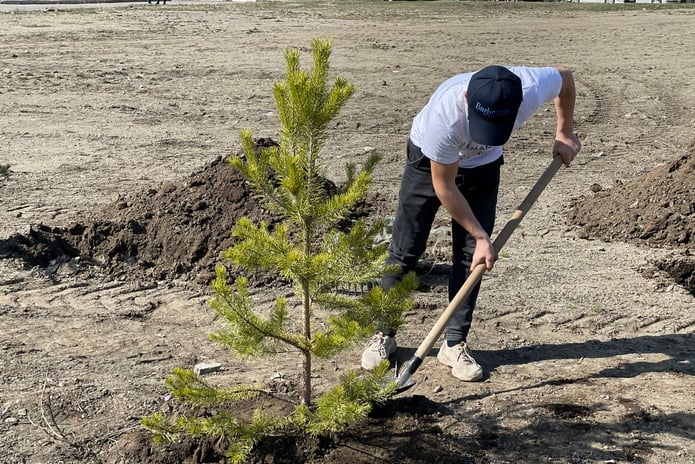 Усть-Каменогорск – В Усть-Каменогорске начались работы по озеленениюулиц