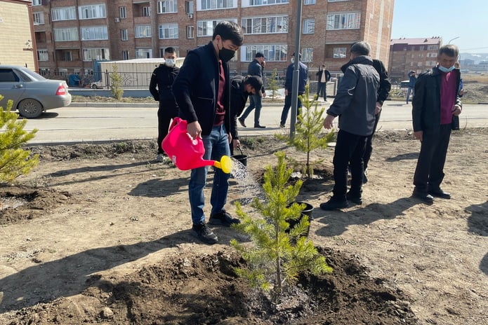 Усть-Каменогорск – В Усть-Каменогорске начались работы по озеленениюулиц