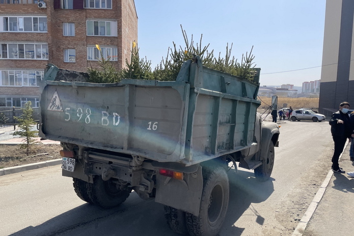 Усть-Каменогорск – В Усть-Каменогорске начались работы по озеленениюулиц