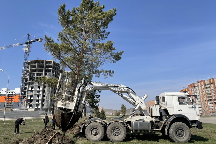 В Усть-Каменогорске начались работы по озеленению улиц