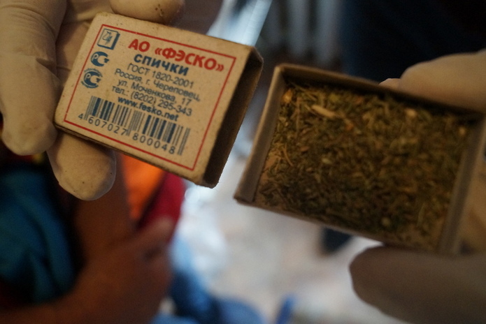 В ВКО задержан изготовитель марихуаны