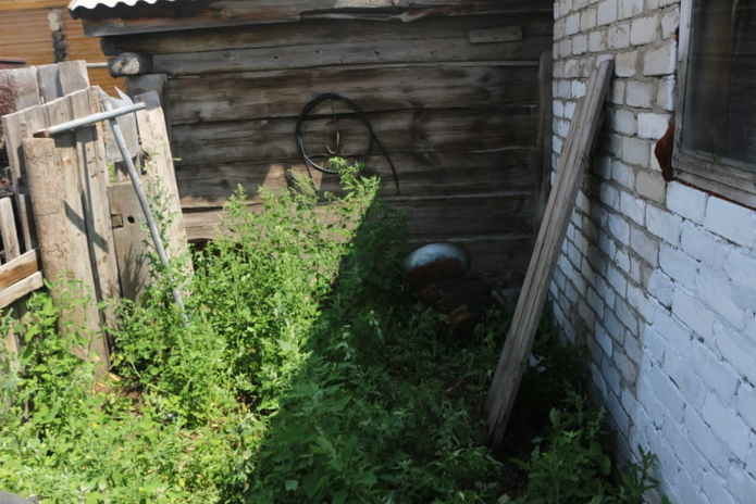 В ВКО полицейские помогли отыскать загадочно пропавшую овцу