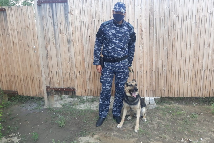 В ВКО полицейские помогли отыскать загадочно пропавшую овцу