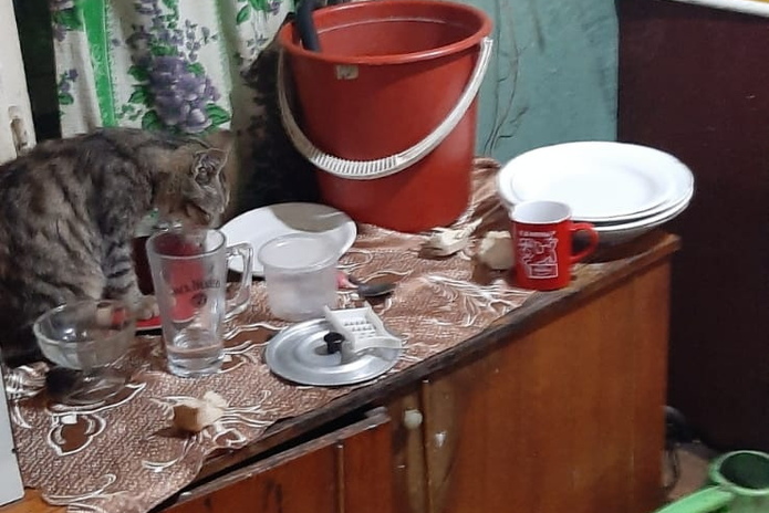 Так живут дети Усть-Каменогорска: хлам, нищета, алкоголь