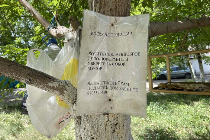 В микрорайоне Защита построят сразу две детские площадки