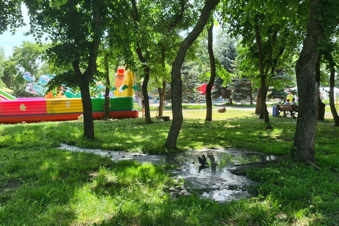 В парке 