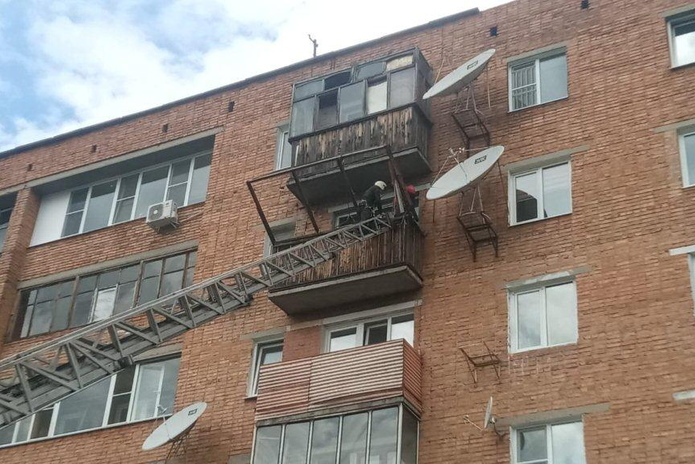 Спасение ежей, коров, голубей и, конечно, людей: не отказывали никому