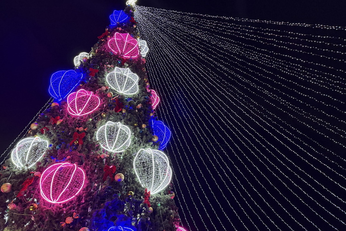 В Усть-Каменогорске зажгли главную ёлку области