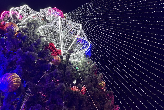 В Усть-Каменогорске зажгли главную ёлку области