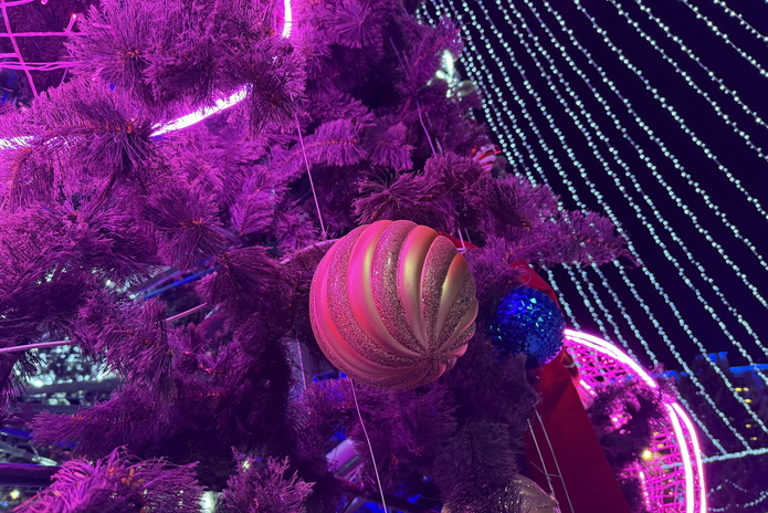 В Усть-Каменогорске зажгли главную ёлку области