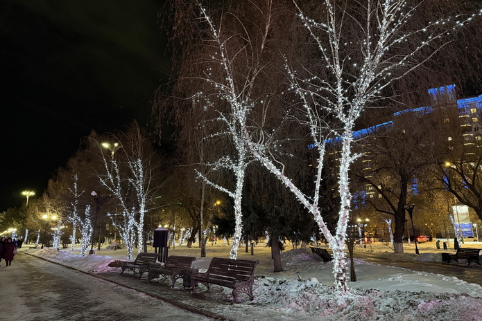 В Усть-Каменогорске зажгли главную ёлку области
