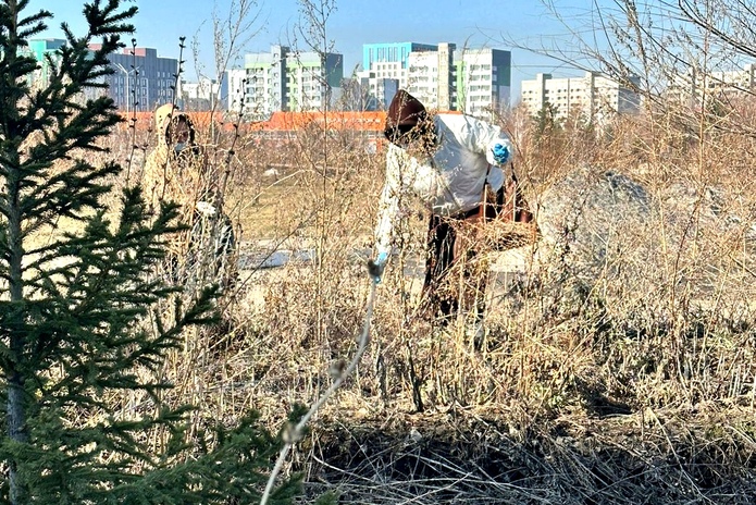 В Усть-Каменогорске прошёл массовый субботник