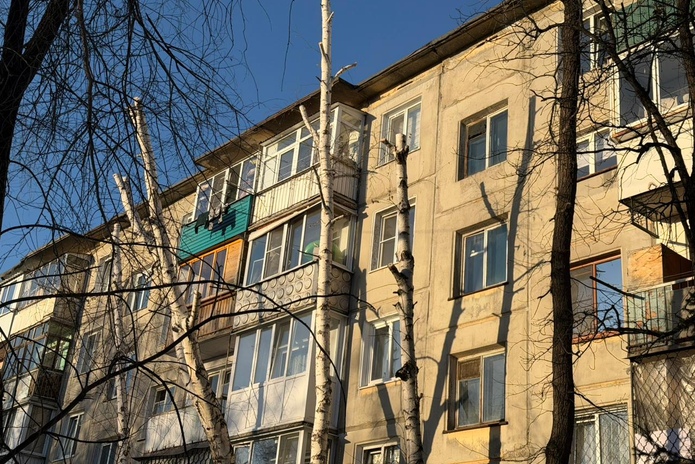 В Усть-Каменогорске продолжают калечить берёзы