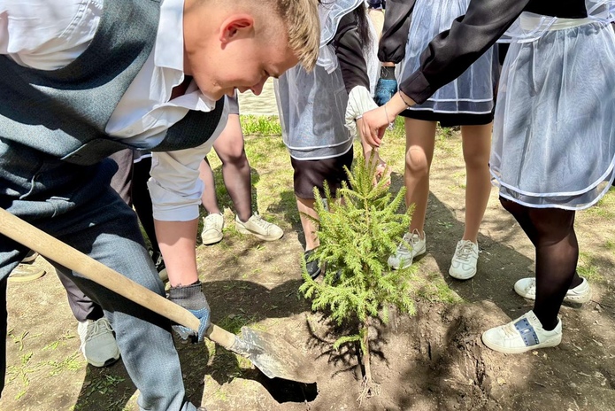 В Усть-Каменогорск выпускники школ сажают деревья