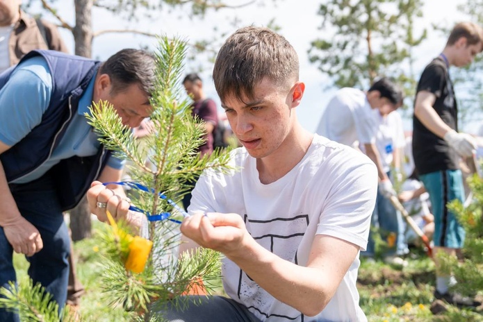 11-классники Усть-Каменогорска высадили почти 2,5 тысячи саженцев