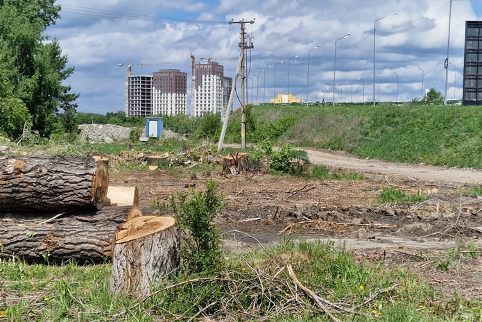 Петлю под Иртышским мостом будут строить в Усть-Каменогорске