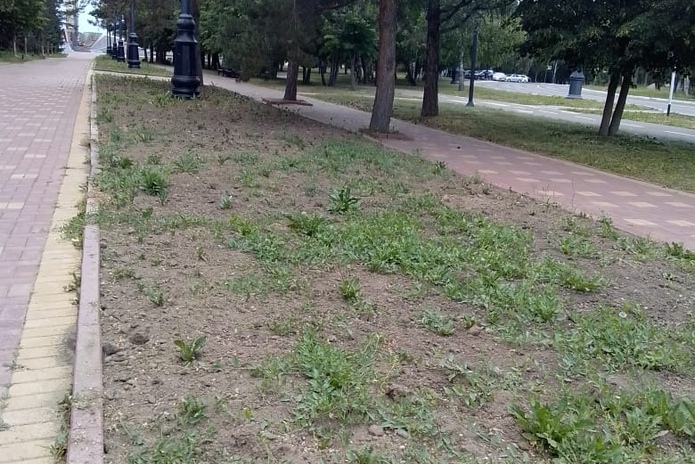 Парк Победы в Усть-Каменогорске зарастает сорняками