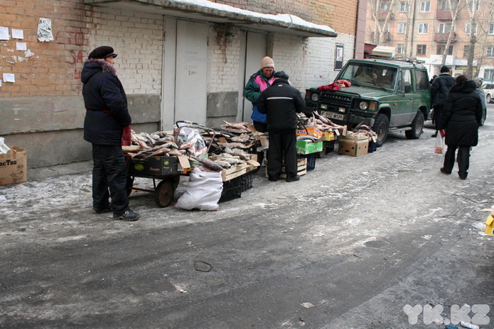 Перебрались во дворы (+фото)