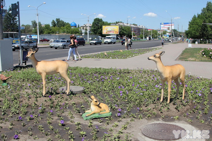 Шесть оленей и конь (+фото)