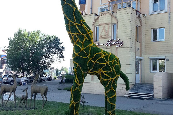 Пожалел дерево (+фото)