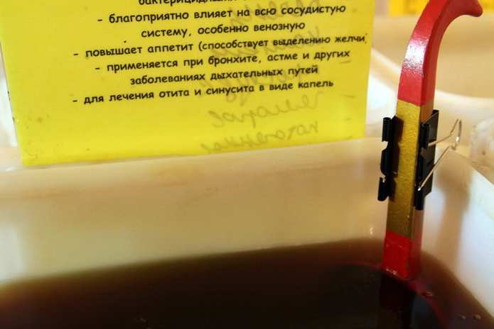 Мёд России (+фото)