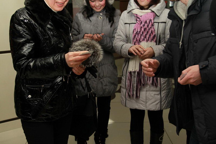 Всем спасибо!