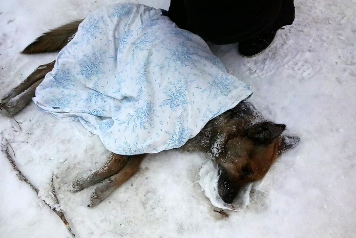 Не спасли