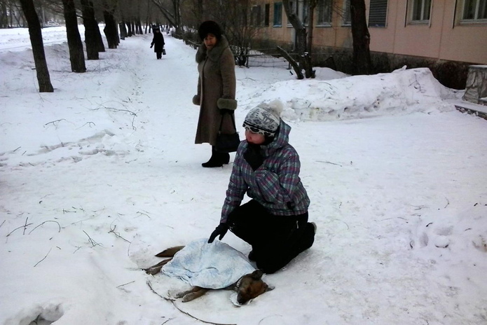 Не спасли