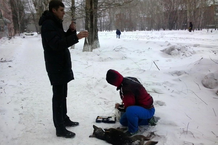 Не спасли
