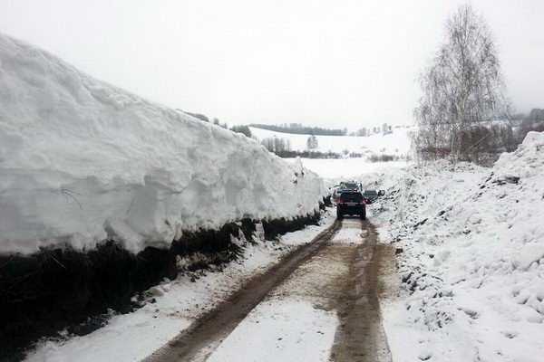 Весна покажет