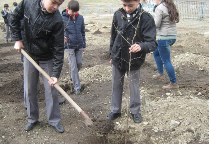 Зелёная акция