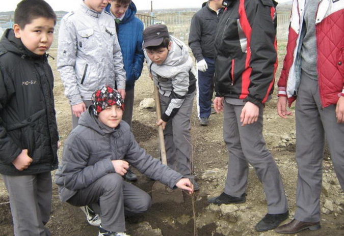 Зелёная акция