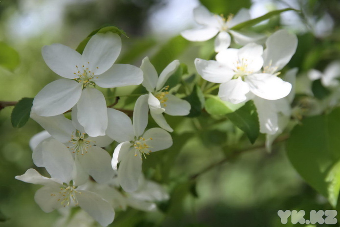 По майским тропкам (+фото)