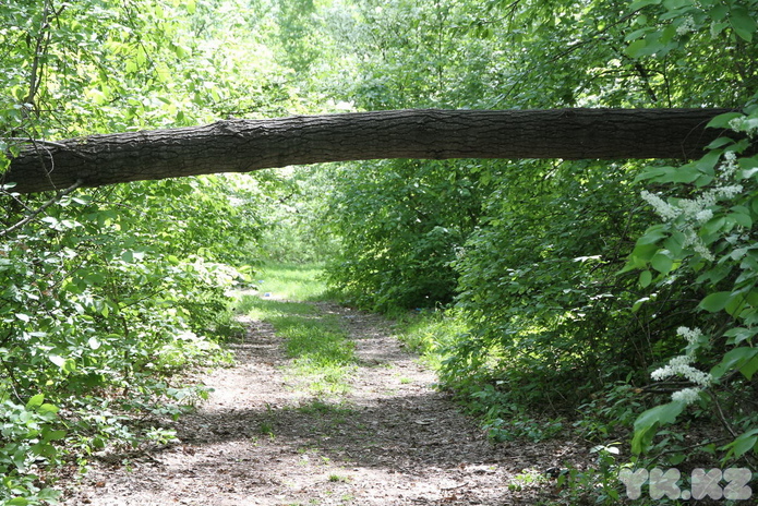 По майским тропкам (+фото)