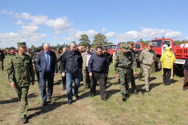 Лес потушили