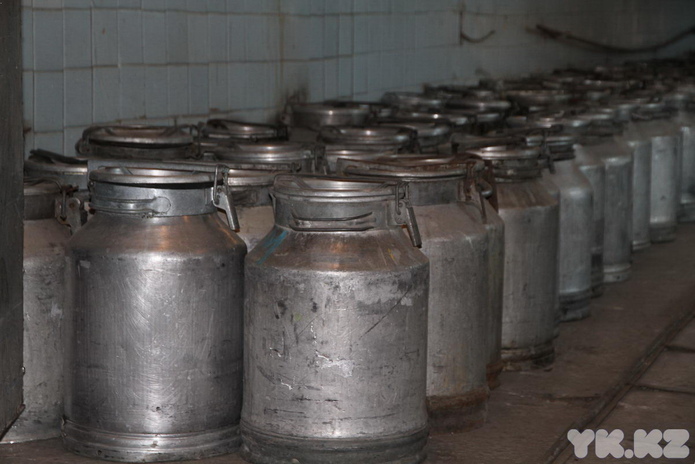 Лучший подарок, по-моему, мёд (+фото)