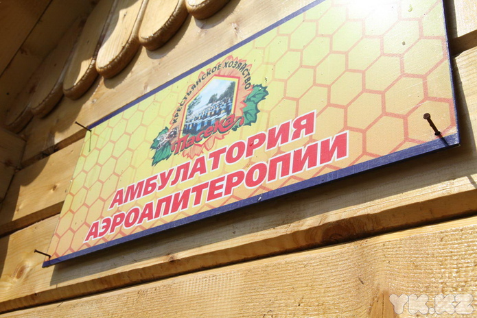 Лучший подарок, по-моему, мёд (+фото)