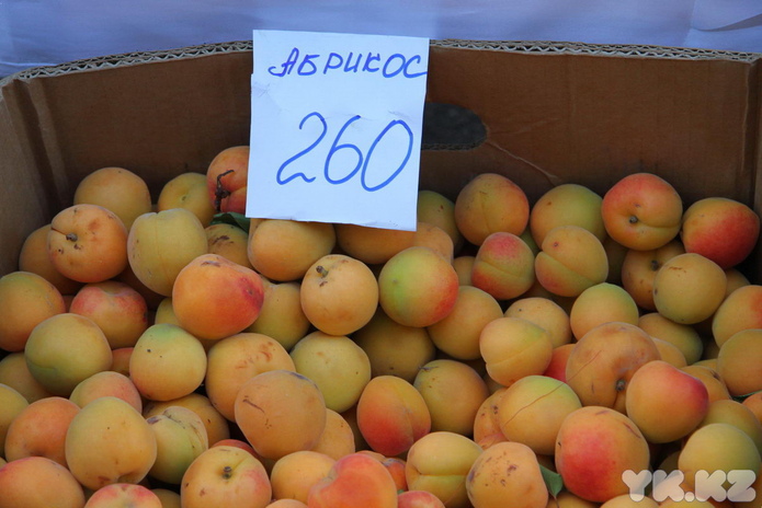 Сколько мы им платим