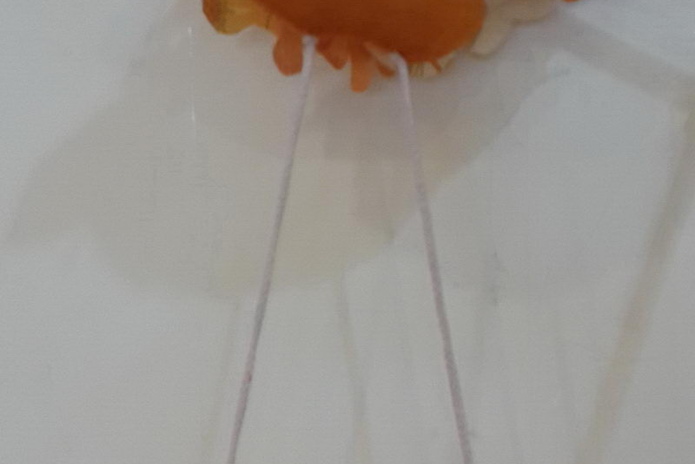 В Казахстане нет смысла вводить специальный налог на роскошь – Б.Жамишев