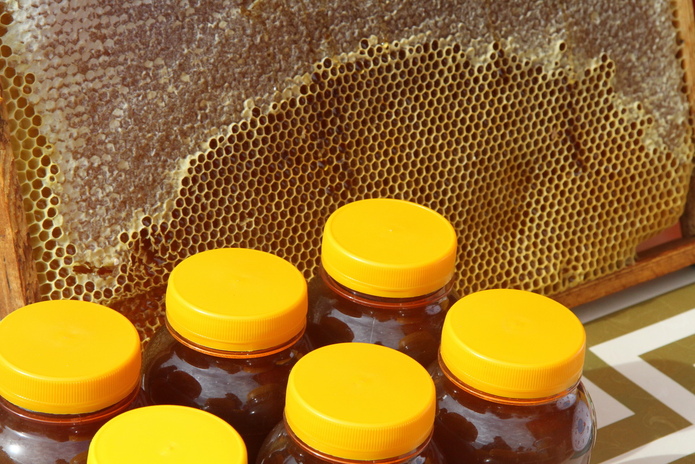 В ВКО открывается научно-исследовательский центр алтаеведения