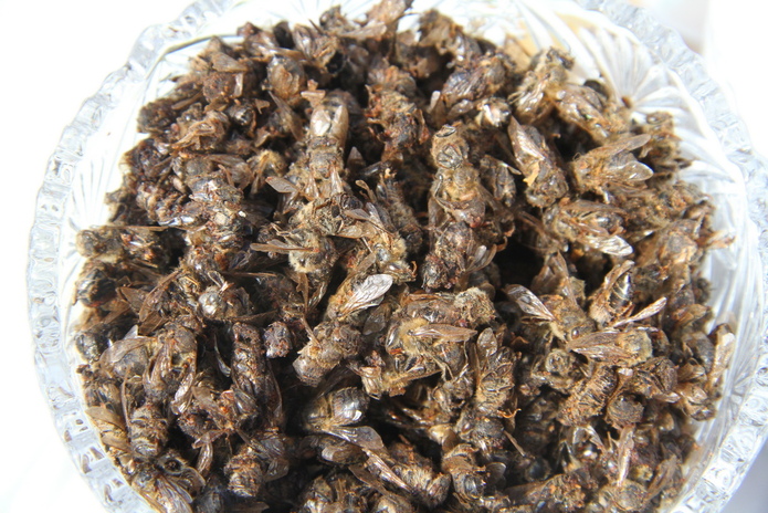 В ВКО открывается научно-исследовательский центр алтаеведения