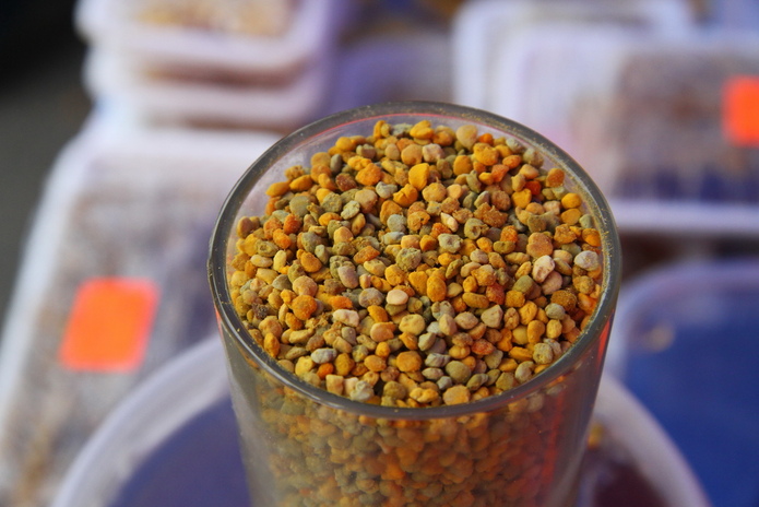 В ВКО открывается научно-исследовательский центр алтаеведения