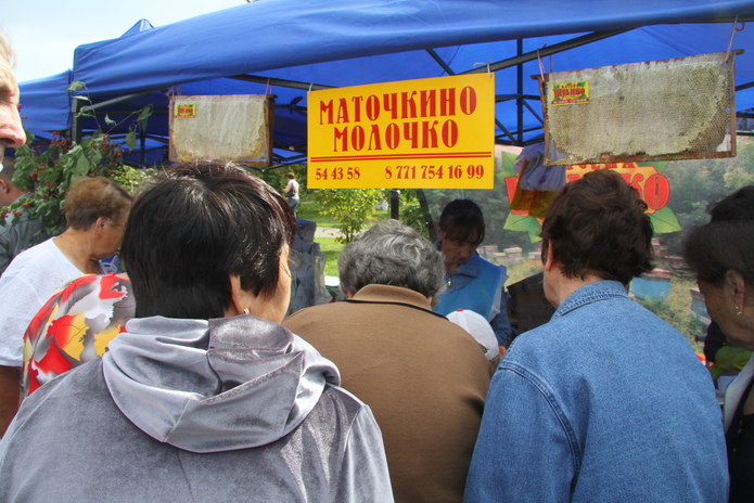 В ВКО открывается научно-исследовательский центр алтаеведения