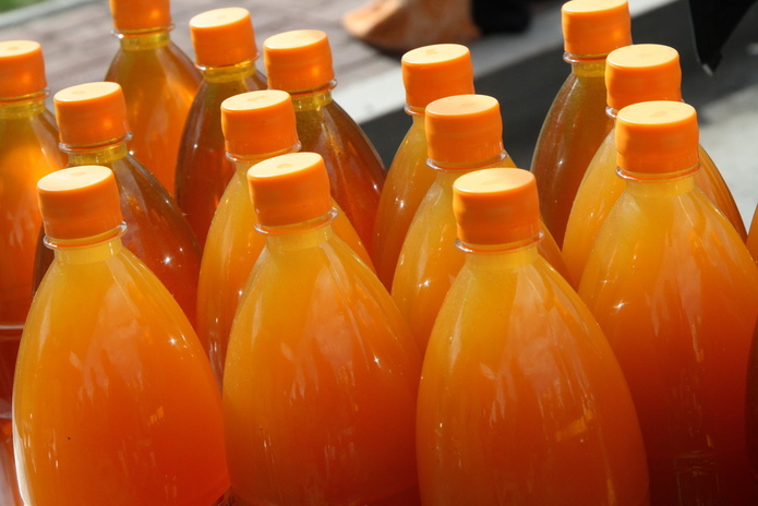 В ВКО открывается научно-исследовательский центр алтаеведения