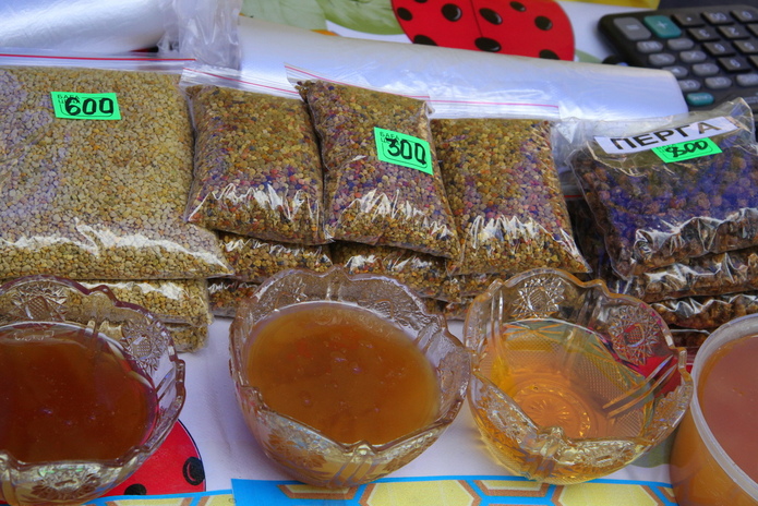 В ВКО открывается научно-исследовательский центр алтаеведения