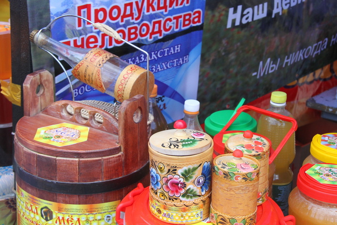 В ВКО открывается научно-исследовательский центр алтаеведения