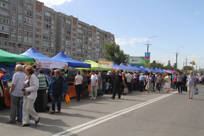 В ВКО открывается научно-исследовательский центр алтаеведения
